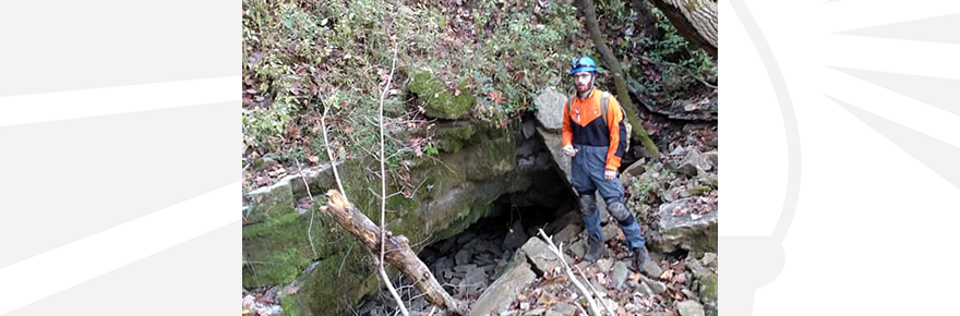 New spider species discovered in Johnson County