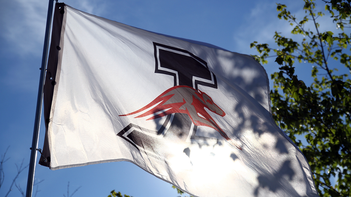 UIndy flag