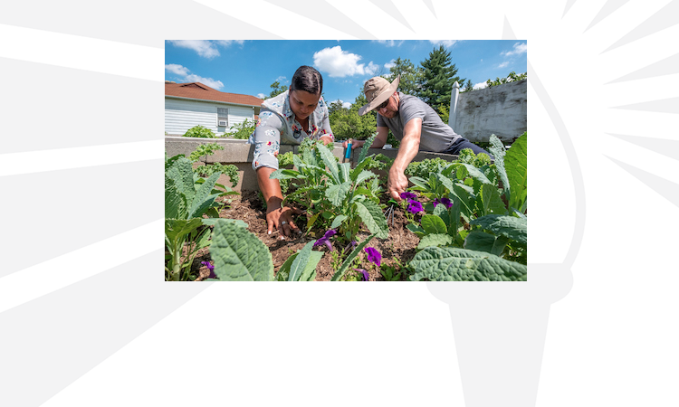 Community Garden