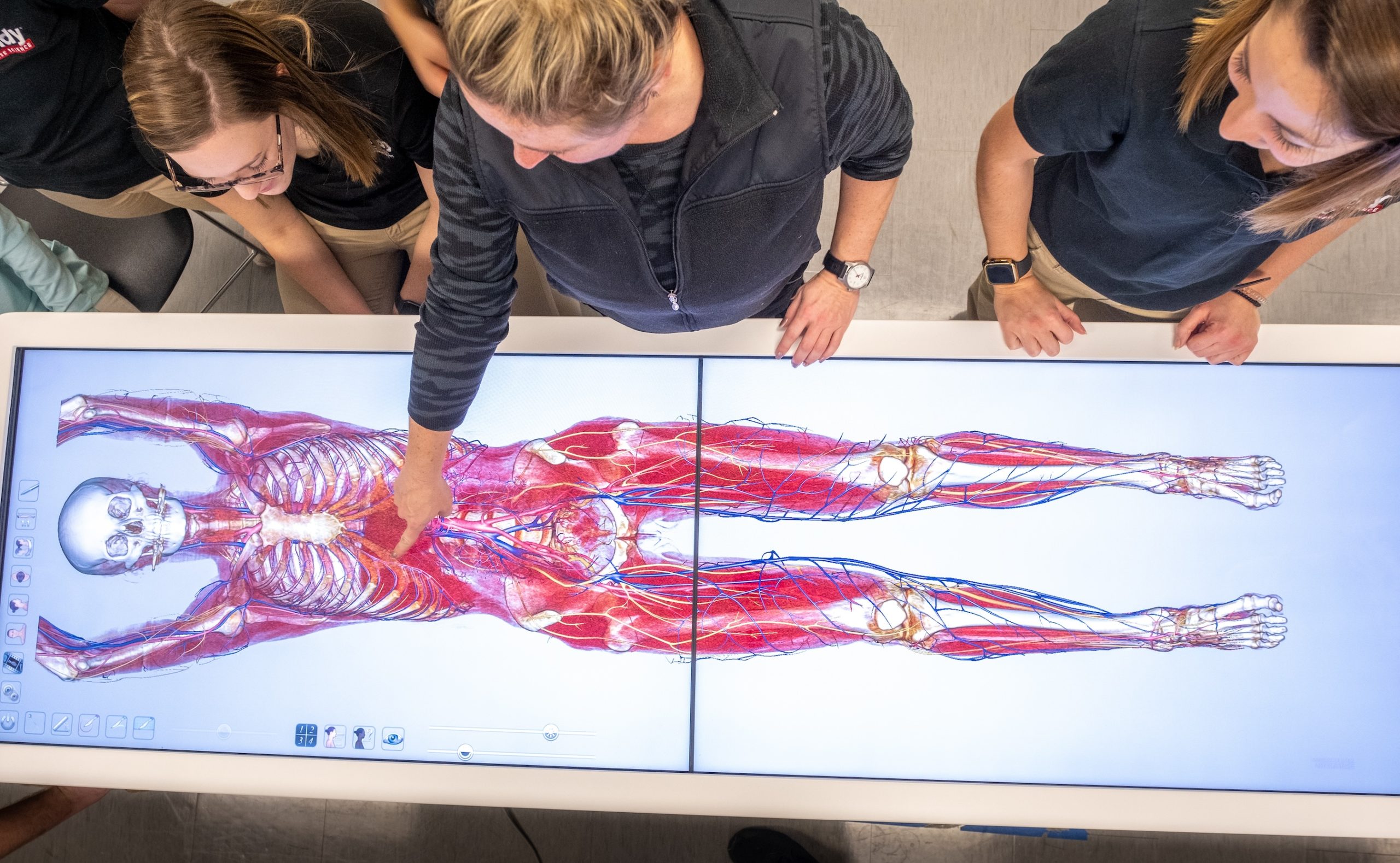 Professor and students look at the anatomy of a human body in the Human Performance Lab in HEAL 378