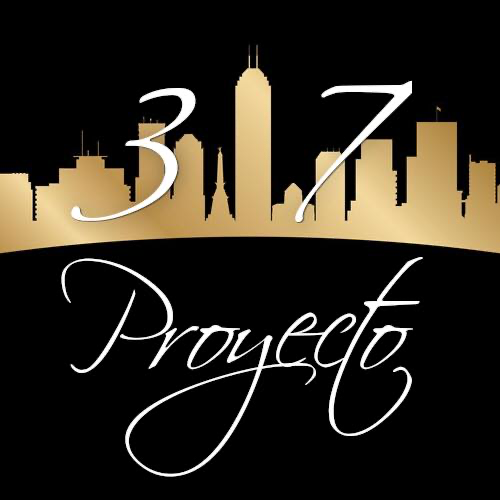 317 Proyecto logo