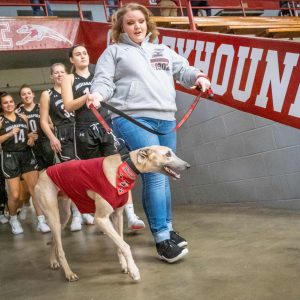 Photo of Coran Sigman and Grady the Greyhound leading the Women's Basketball Team out of the tunnel