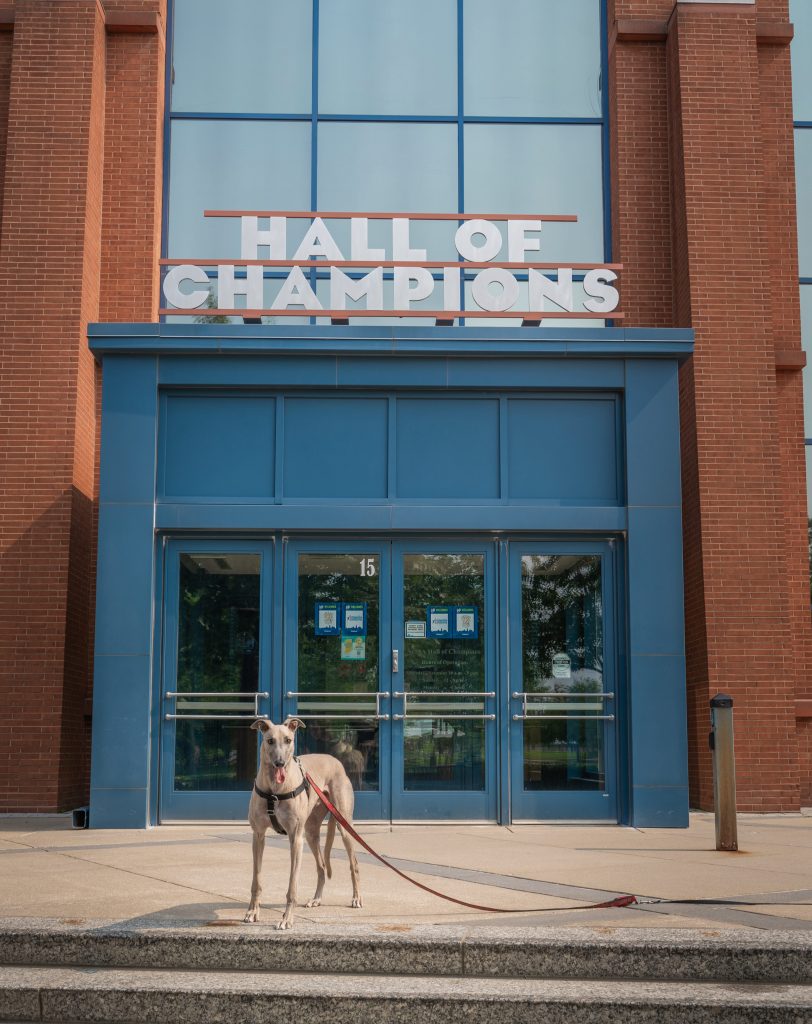 Photo of Grady the Greyhound outside the entrance of the NCAA Hall of Champions