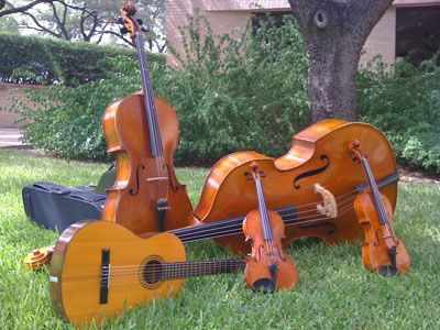 Photo of String Instruments