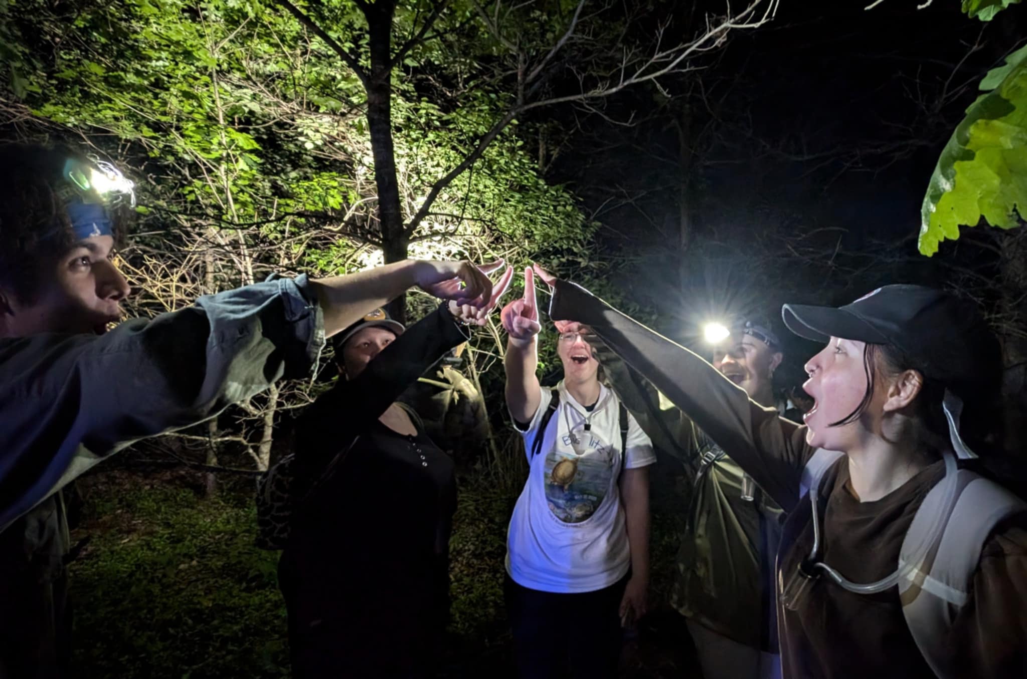 Photo of five UIndy Biology students pointing at a tmarus angulatus spider in the wild at night