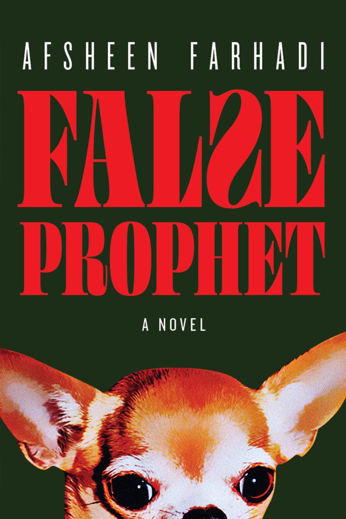 Cover of False Prophet by Afsheen Farhadi
